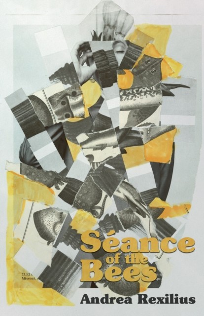 Séance of the Bees by Andrea Rexilius PAPERBACK 9781960988898