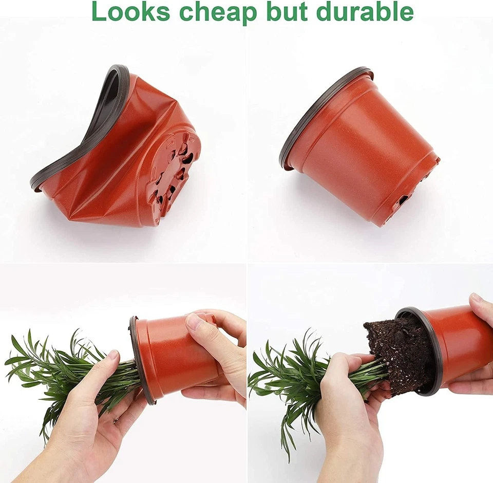 Macetas de vivero transparentes de 4" con cúpula de humedad para plántulas prósperas - 30 juegos Foto 4 de 4