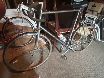 Panasonic men's 10 speed needs tires