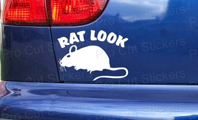 Lustige individuelle Auto-Van-Fenster-Stoßstangenaufkleber Ratten-Look Rattenszene Rostschrott