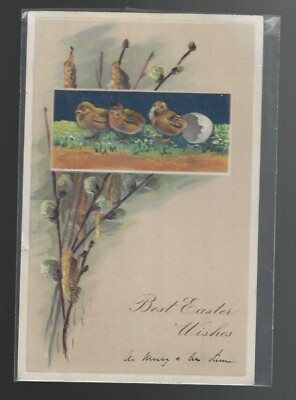 German Easter Chicks Hatching from Egg 1907 Embossed Postcard series 6715 #25