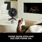 Bild 11 von 12
