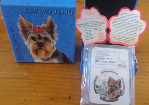 2014 Yorkshire Terrier Dog Man's best friend .999 silver .5 OZ Niue Yorkie NGC68 - Picture 6 of 8