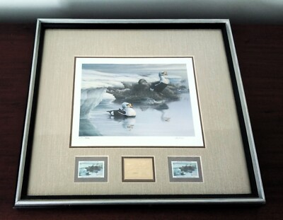 Framed Print w/Glass-King Eider-Pierre Leduc Pencil Sgd & Number 2002 CWC