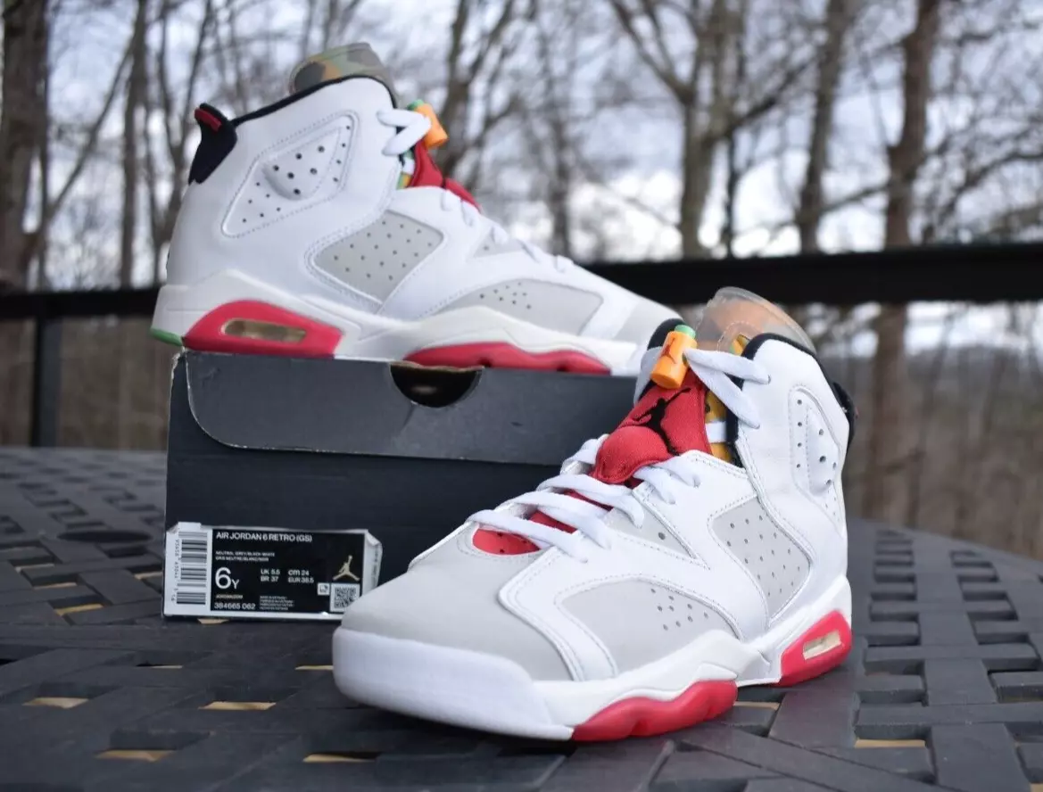 Air Jordan 6 Retro