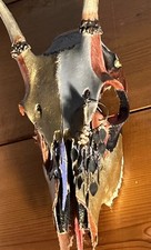 Spike Buck Skull/handpainted