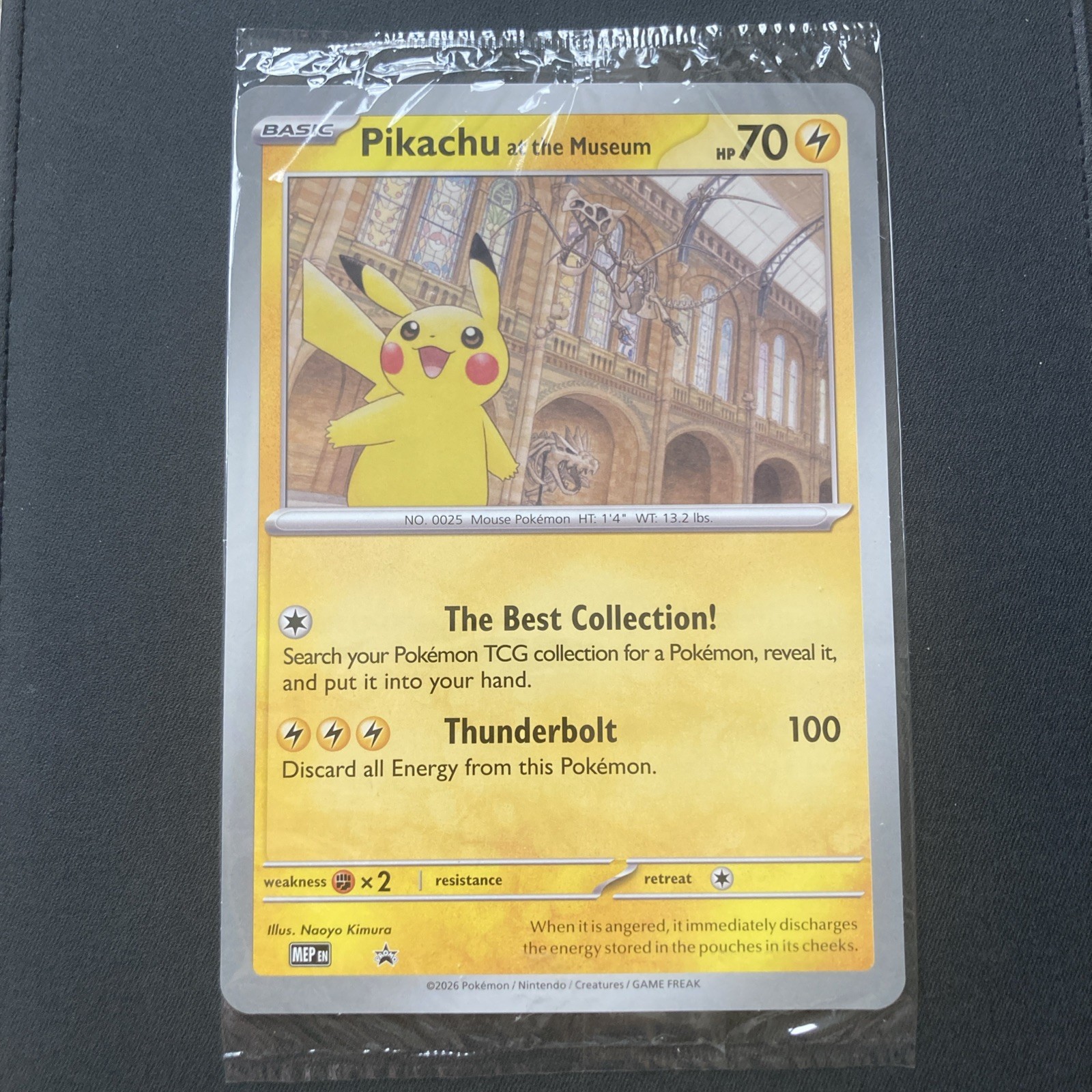 Pikachu At The Museum, Pokémon X Natural History Museum Jumbo Promo Pokémon Card