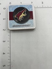 Phoenix Coyotes Handmade magnet NHL hockey