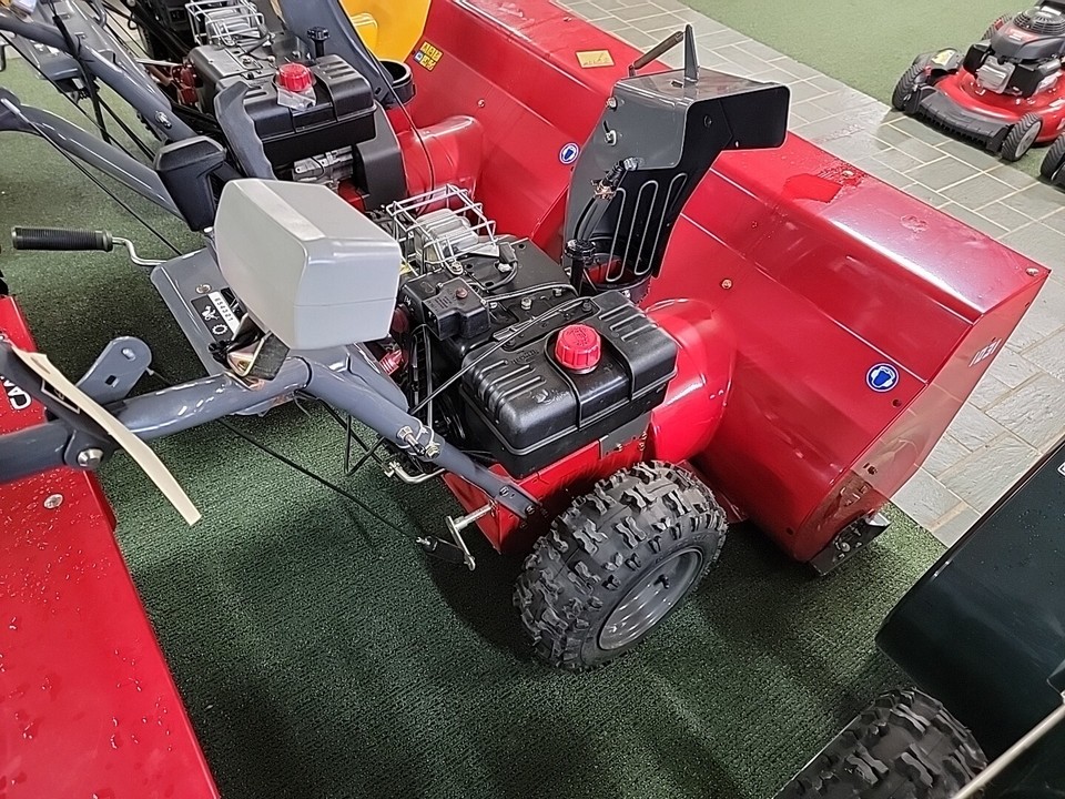 Canadiana 10HP 31