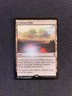 Magic the Gathering MTG - Evolving Wilds - Tarkir Dragonfury Promo NM