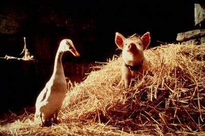 Filmdia Babe: Pig in the city Movie Slide 35mm L39-35-1-1