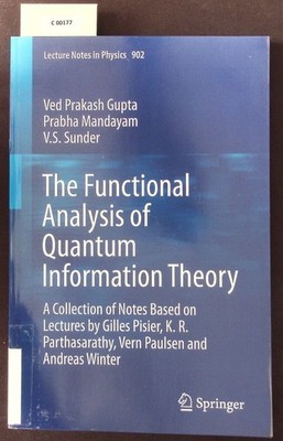 The functional analysis of quantum information theory. A collection of notes bas