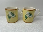 Royal Stafford Daisy 2 x Large Mugs Superb Condition
