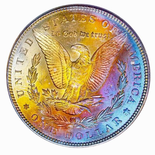 1887-P NGC MS64* STAR MORGAN $ FAMOUS BATTLE CREEK COLL!! RAINBOW TONING (VIDEO)