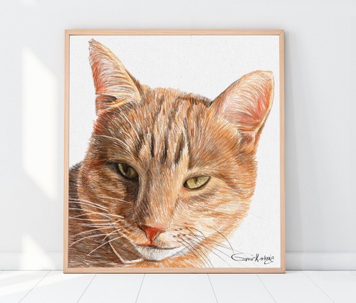 Custom Pet Portrait Drawing from photo | Pet Memorial Gift Portrait from photo - Picture 20 of 22