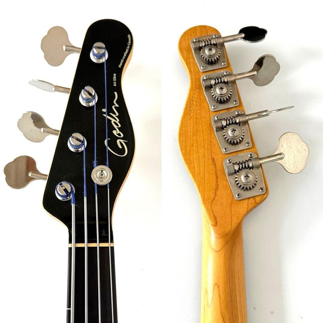 Rare Godin A4 Ultra Fretless E | eBay