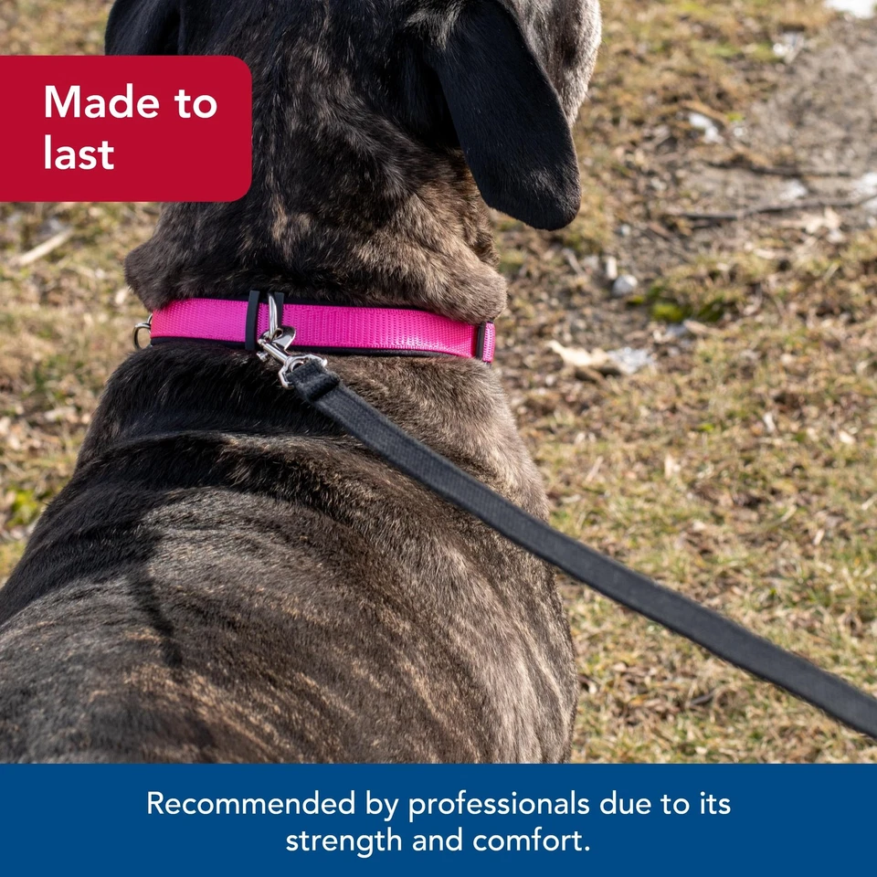 COASTAL Train Right! Trela de algodão preta 5/8" x 10' - Imagem 4 de 4