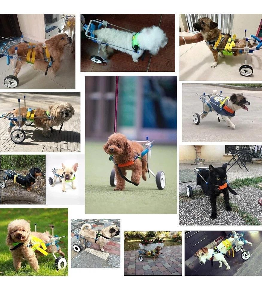 HobeyHove Adjustable Dog Cart Wheelchair Chariot, For Pet/Doggy Small - Medium - Image 4 of 4