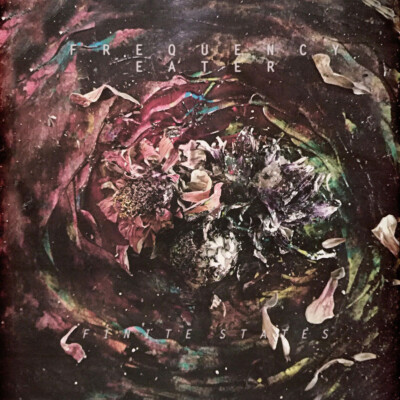 Frequency Eater - Finite States (Vinyl LP - 2017 - EU - Original)