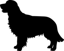 Golden Retriever Vinyl Decal Sticker- Nine Varieties