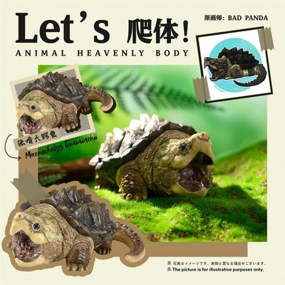【In-Stock】 Animal Heavenly Body Let's Party Alligator Snapping Turtle Statue