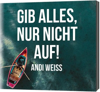 Gib alles, nur nicht auf!,1 Audio-CD | Dania König (u. a.) | Audio-CD | 70 Min.