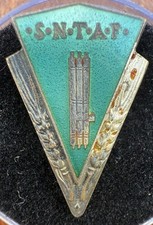 Distintivo Sindacato Nazionale Tecnici Agricoli- futurismo- smalti- RR!