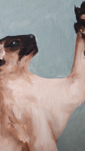 Siamkatze Gemälde Haustier Original Kunst gerahmt 12 mal 9 Katze blaue Augen Ölgemälde - Video 1 von 1