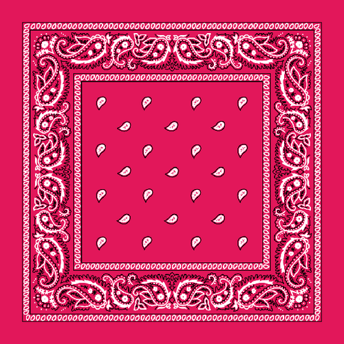 3-12 Pcs 100% Cotton Paisley Print Bandana Head Warp Scarf Headband Neck Cover - Picture 24 of 35