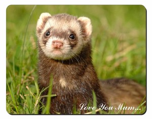 ferret mouse