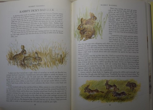 MORE OLD POACHERS TALES Gamekeepers, trapping, wildlife crime, dogs, countryside - Picture 3 of 6