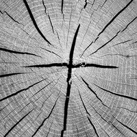 Thats Why - Cd - 02 - F659Z