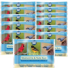 Blue Seal Mealworms Nuts Suet Cakes Wild Birds - No Mess Suet Feed Food