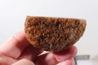 Morocco Agate lapidary 3.8 oz  Nodule faced rough lot Av — photo 5