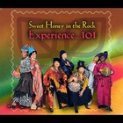 Experience...101 by Sweet Honey in the Rock (CD, Sep-2007, Appleseed Records)