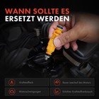 Bild 6 von 8