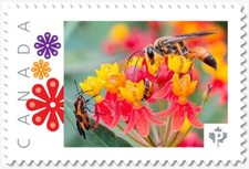 BEE = BUG = LADYBUG = WASP ** Picture Postage MNH Canada 2019 p19-02-sn27
