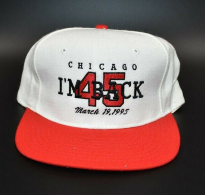 Chicago Bulls Michael Jordan #45 