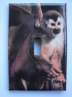 Picture 4 of 6