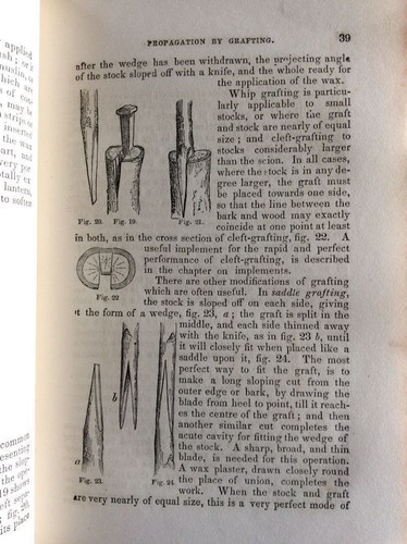 1856 THE AMERICAN FRUIT CULTURIST *Propagation*Nursery*Orchard*Well Illustrated - Picture 4 of 9