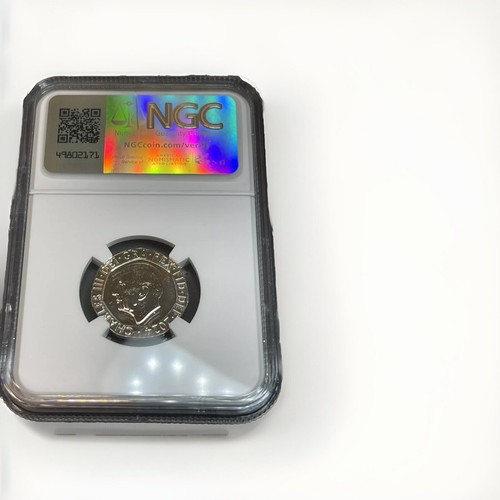 2024 GREAT BRITAIN 20P UNC NGC MS66 DPL PUFFIN 20 PENCE FIRST RELEASES - Picture 2 of 6