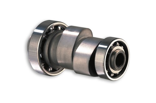 Malossi POWER CAM camshaft - 第 1/8 張圖片