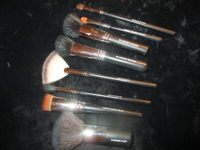 Set of 8 AUTHENTIC YOUNIQUE MAKEUP BRUSHES ~~Some Unused/ All Cleaned ~~