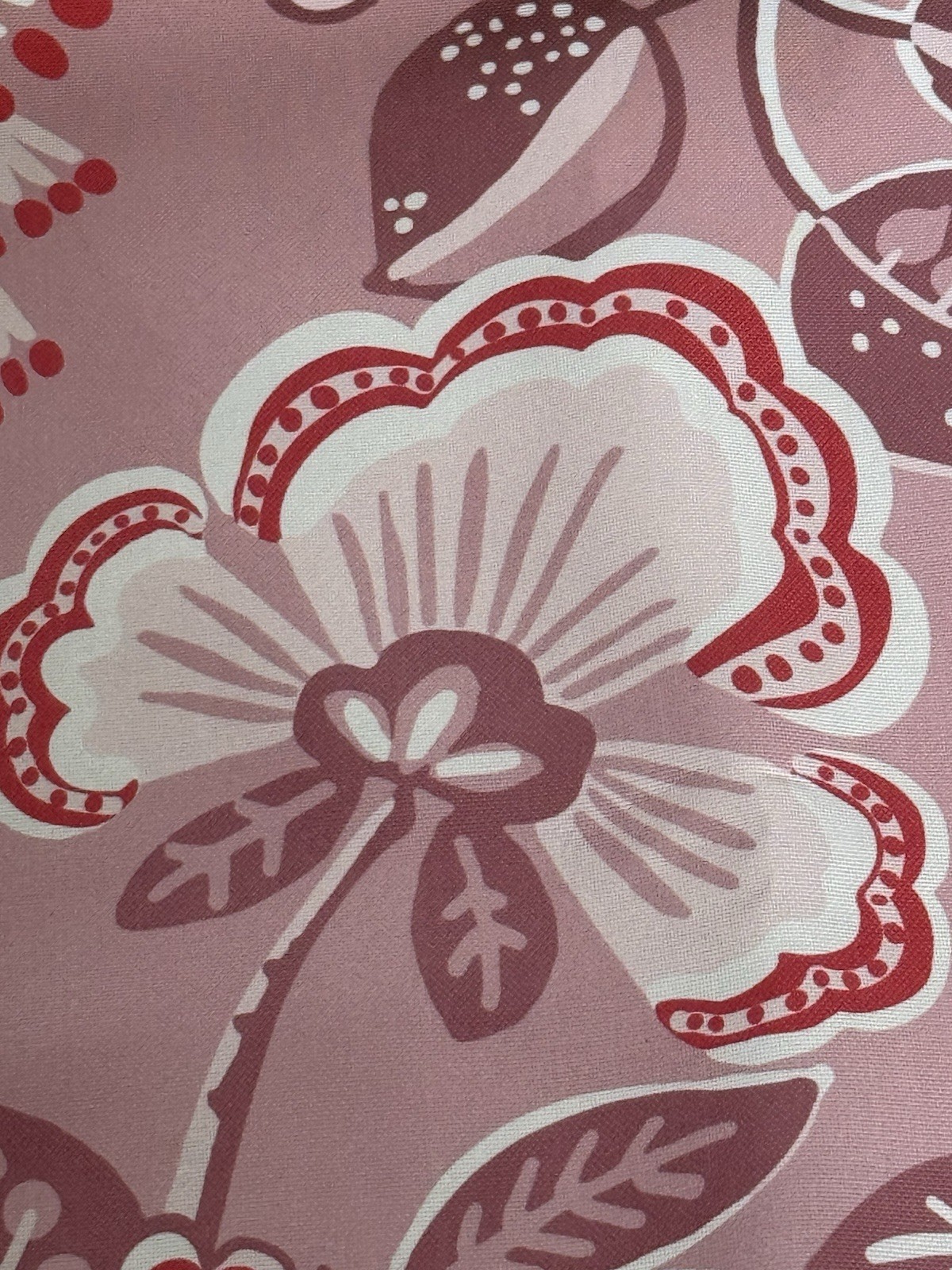 Picture 5 of 10