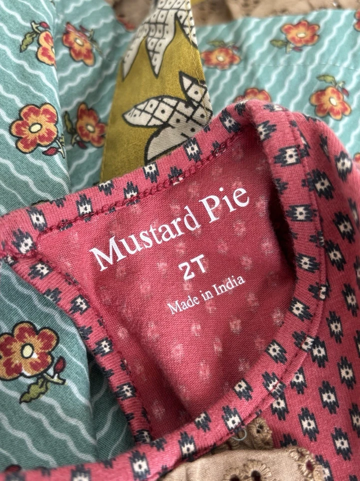 Mustard Pie NWOT Girls 2T Boho Long Sleeved Full Skirted Dress Lace accents — 第 4/4 张图片