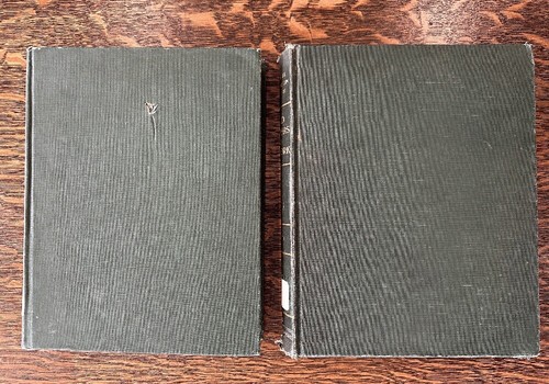 2 vol Antique Wild Flowers of New York (1918) Photographed Ex-Lib - Imagen 2 de 6