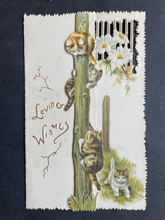 VICTORIAN GREETING CARD CATS KITTENS CLIMBING UP TREE DIECUT VERSE