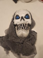 Skull Halloween Mask