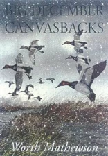Big December Canvasbacks, Revised by Worth Mathewson: New