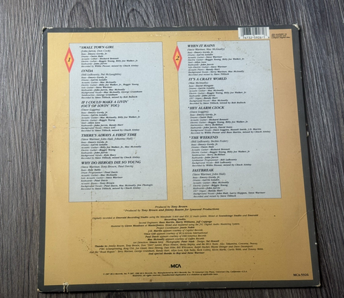 STEVE WARINER - It's A Crazy World MCA 5926 1987 Vinyl Record - Picture 2 of 3